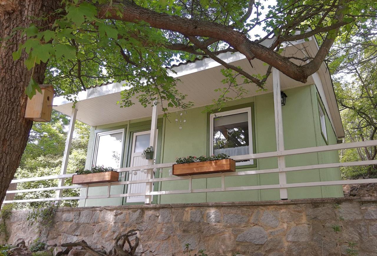 Ferienhaus Paulina Villa Вернигерод Екстериор снимка